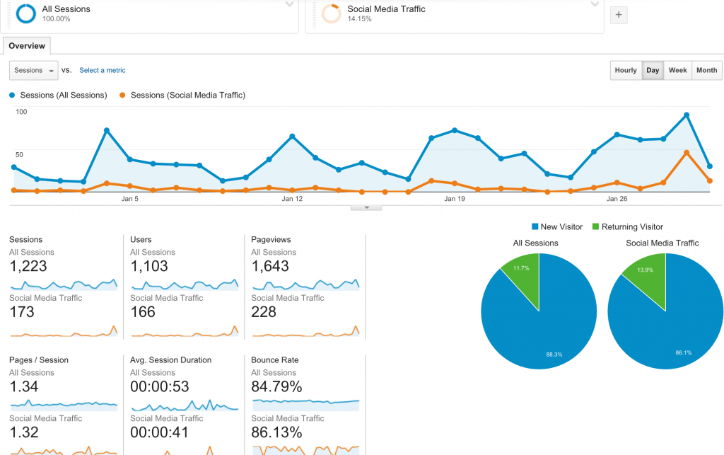 Social Media Traffic Segment